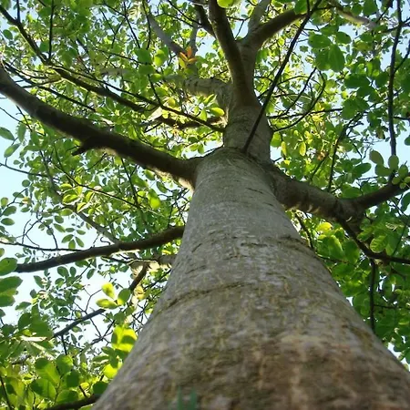 Semesterbostad Aan Zee *