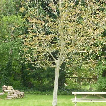 Semesterbostad Aan Zee