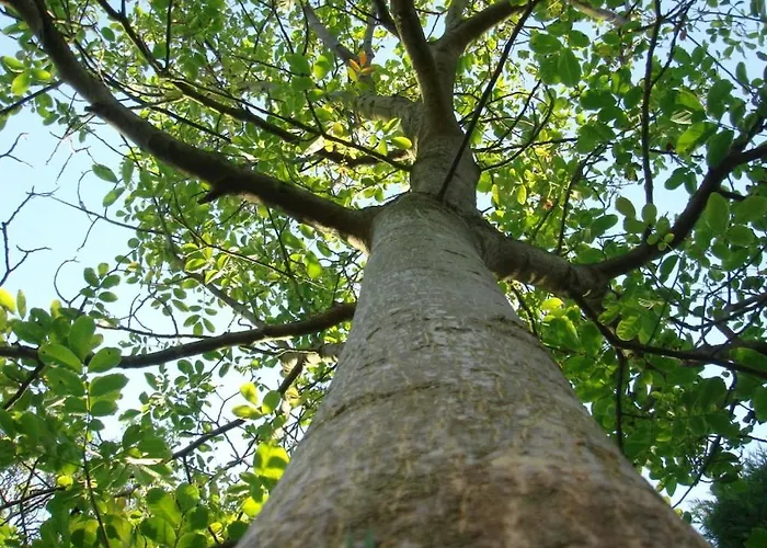 Ferienhaus Aan Zee *